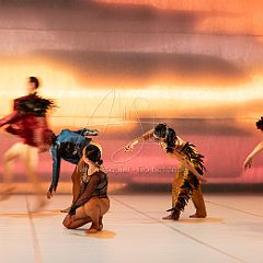 LesOiseaux 20250629 049.jpg