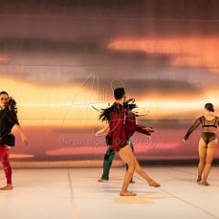 LesOiseaux 20250629 052.jpg