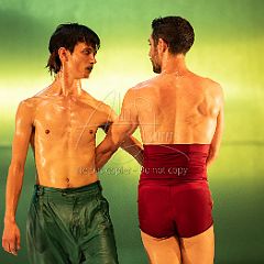 LesOiseaux 20250629 054.jpg