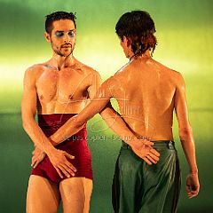 LesOiseaux 20250629 055.jpg