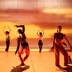 LesOiseaux 20250629 094.jpg