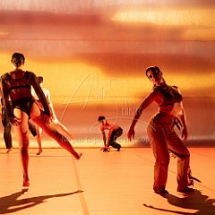 LesOiseaux 20250629 095.jpg