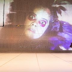 LesOiseaux 20250629 100.jpg