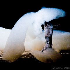 SOAPERA 20100703_5D6758 WEB.jpg