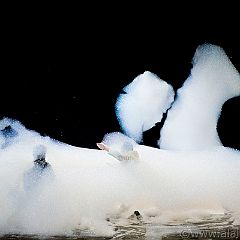 SOAPERA 20100703_5D6767 WEB.jpg