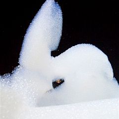 SOAPERA 20100703_7D7098 WEB.jpg