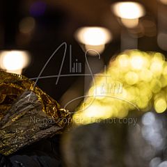 MaréeHumaine 20230123 030.jpg