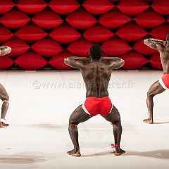 Clameur des_Arenes_20140629_011 CPR.jpg