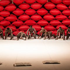 Clameur des_Arenes_20140629_047 CPR.jpg