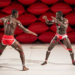 Clameur des_Arenes_20140629_056 CPR.jpg