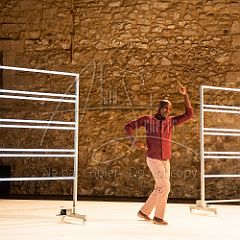 Multiple-s 20190706_020 CPR.jpg