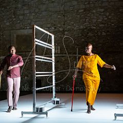 Multiple-s 20190706_025 CPR.jpg