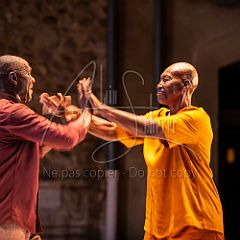 Multiple-s 20190706_041 CPR.jpg