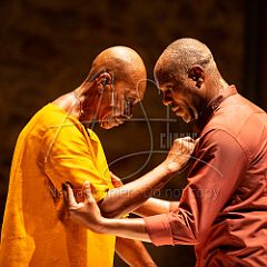 Multiple-s 20190706_046 CPR.jpg