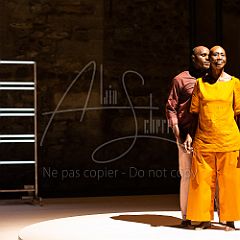 Multiple-s 20190706_050 CPR.jpg