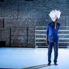 Multiple-s 20190706_064 CPR.jpg