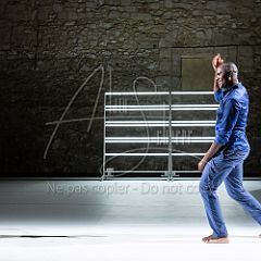 Multiple-s 20190706_075 CPR.jpg