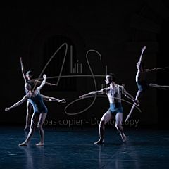 AmericanLandscapes 20190627_011 CPR.jpg