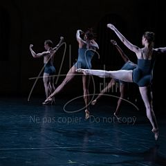 AmericanLandscapes 20190627_014 CPR.jpg